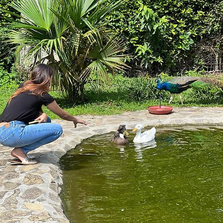 Hotel Campestre Cafe Cafe Montenegro Dış mekan fotoğraf