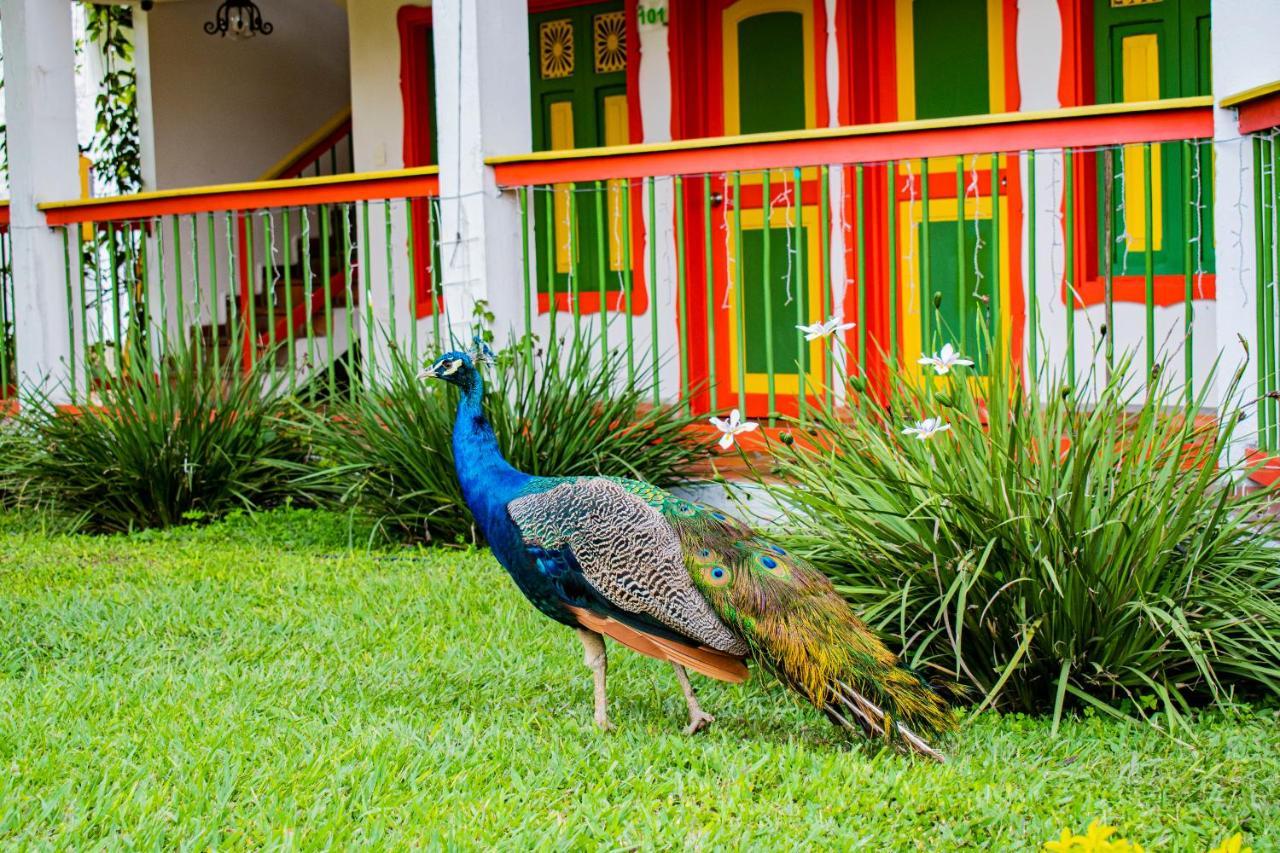 Hotel Campestre Cafe Cafe Montenegro Dış mekan fotoğraf